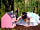 Acorn Camping and Glamping: Alice in Wonderland story