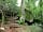 Acorn Camping and Glamping: Woodland trail 