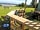 Forest Glamping Retreat: Bar and view from site