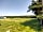 Yonder Green Caravan Park: Back field (photo added by manager on 31/07/2023)