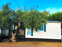 Exterior Exterior