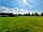 Martin Lane Farm