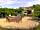 Box Cottage Bell Tent: Comfortably seats six