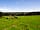 Milkmaid Meadow Campsite: Campsite
