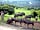 Port Lympne Reserve: Africa at your doorstep