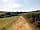 Torre View Farm: Main road to the site