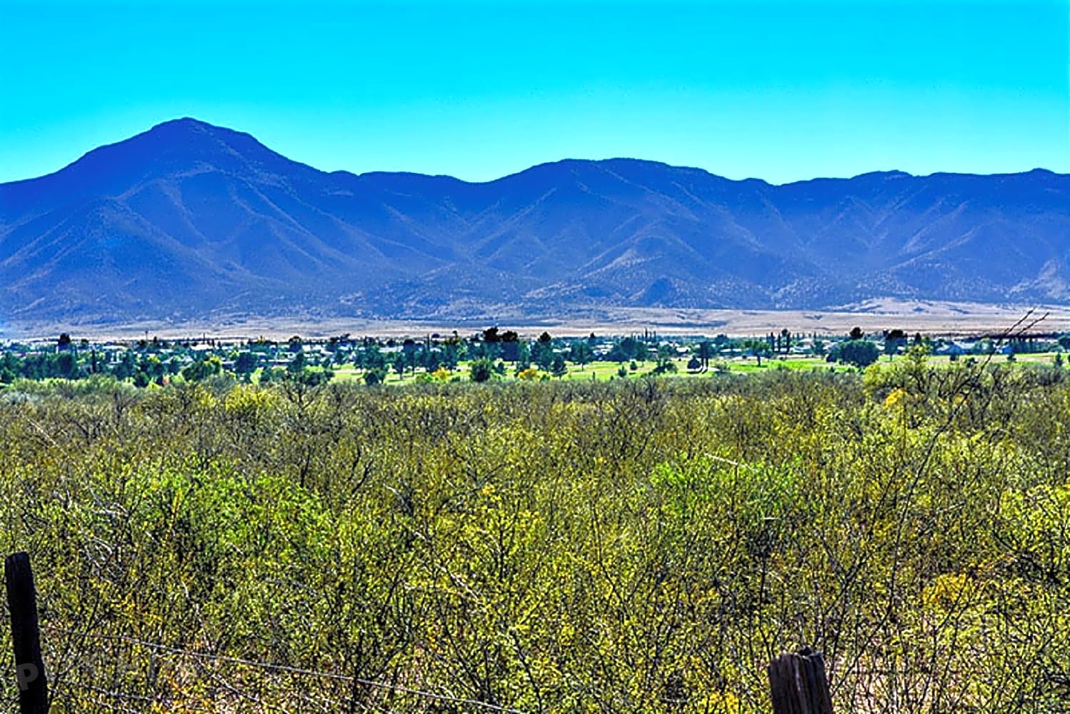 Brancher Sierra Vista AZ