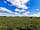 Chettle Campsite