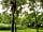 Yomer Wood Camping: Tree climbing at own risk