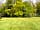 Creative Camping: Grassy pitches (photo added by manager on 09/05/2022)