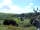 Woodlands Caravan Park: View of pitching field