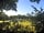 Leadstone Camping: Looking out onto Field 2 with all types of pitches