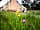 Drovers Rest: Fully furnished bell tents with electric power points and wifi