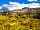 Falls Park: Hilly scenery