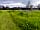 Crofts Barn (фото добавлено менеджером 16.05.2023)