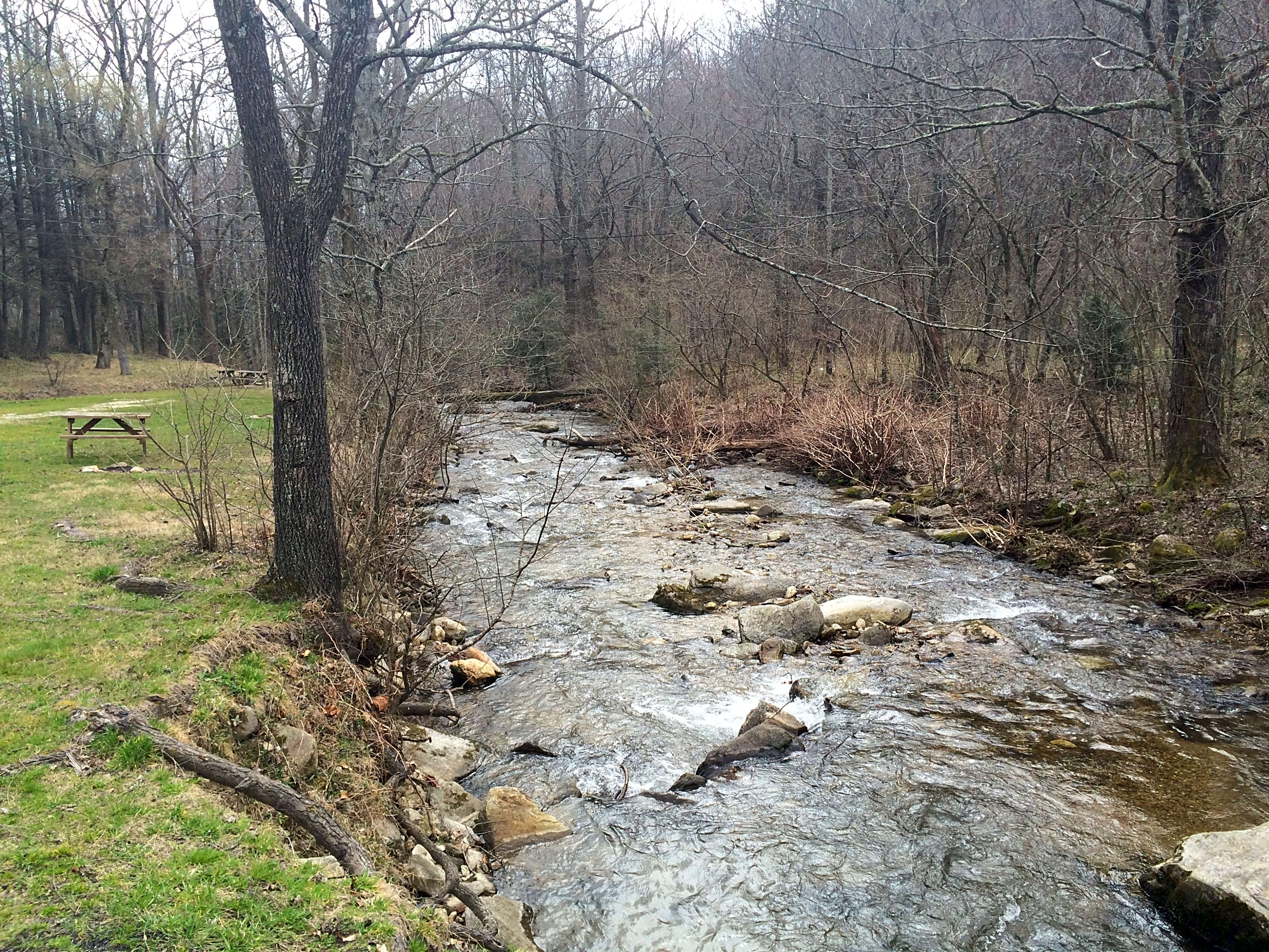 Creekside Mountain Camping, Hendersonville Pitchup®