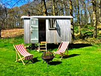 Cabana de pastor Shearling
