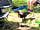 Meadow Tree Farm: Billy the Duck being admired by our camp mate Chad.
