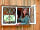 Bluebell Shepherd's Hut: Peaceful shepherd's hut (photo added by manager on 23/06/2022)