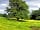 Hamstead Huts: Field view in May (photo added by manager on 23/05/2022)