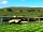 Glan Y Gors