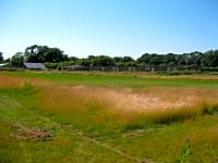 South field Lote para tenda de grama sem eletricidade