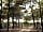 Parque Orbitur Sitava Milfontes: Overview of the campsite