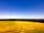 Higher Seawardstone Farm: Five-acre field