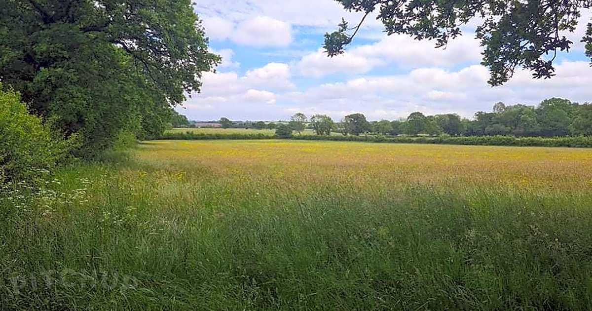 Camping at Oakfield Farm, Wotton Under Edge