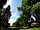Redwood Valley - Woodland Cabin and Yurts: Peaceful location among the trees (photo added by manager on 10/07/2018)