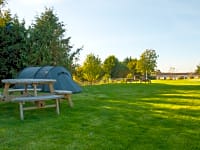 Parcel·la de gespa amb electricitat per a tenda de campanya