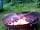 The Secret Garden Touring Park: Amazing firepits