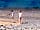 Bude Holiday Resort: Beautiful location