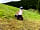 Sunrise Hill Campsite: Just enjoying some free space (photo added by manager on 07/08/2023)
