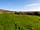 Newton Campsite: Views