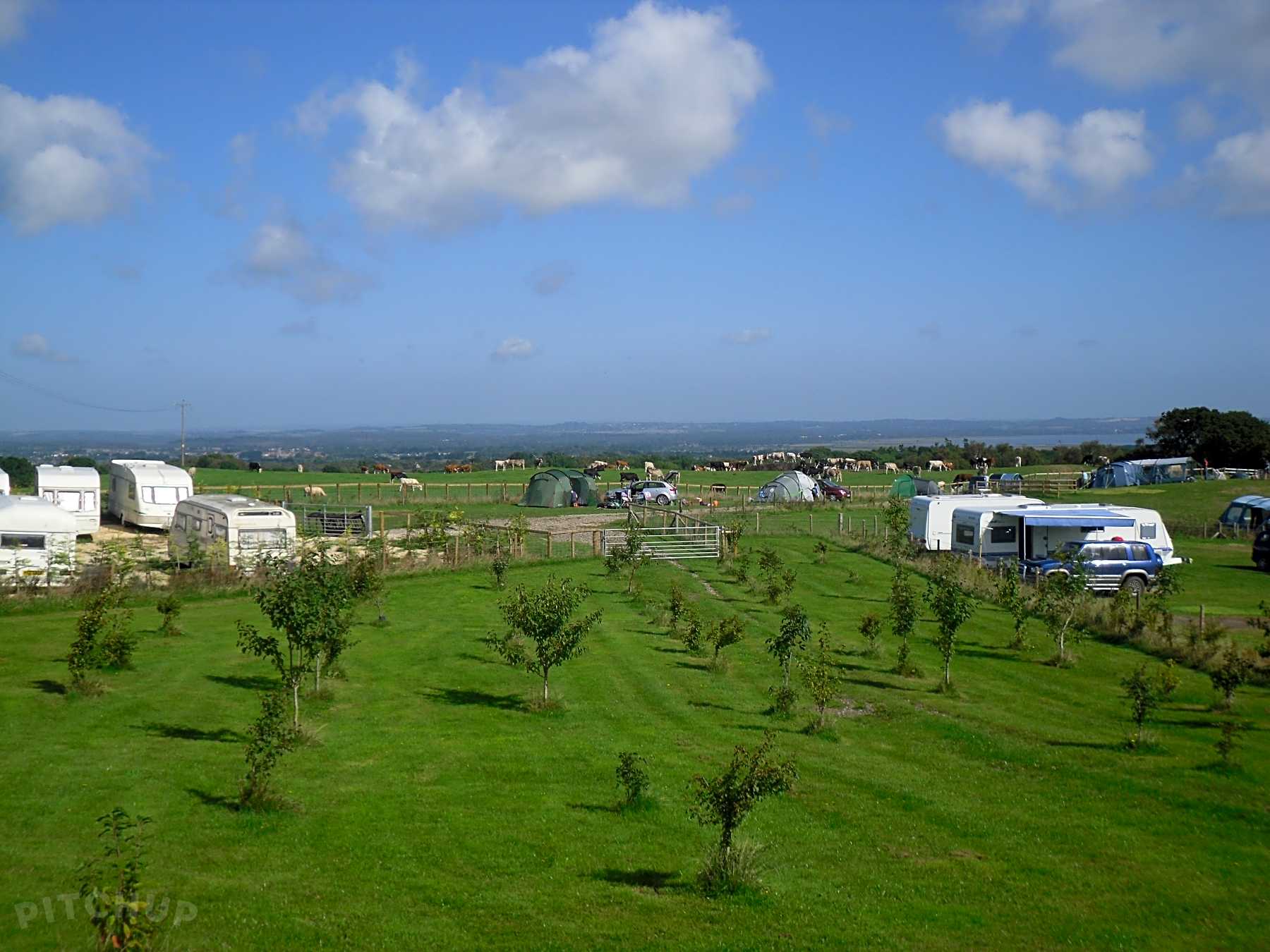 Static Caravan Sites & Caravan Parks in Lyme Regis, Dorset 2022 from £