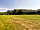 Runnis Meadow Camping: View of the site (photo added by  on 21/08/2022)