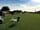 Watercress Lodges Campsite: Large toilet block and washing up unit.