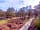 Hollands Wood Caravan and Campsite: Access to site