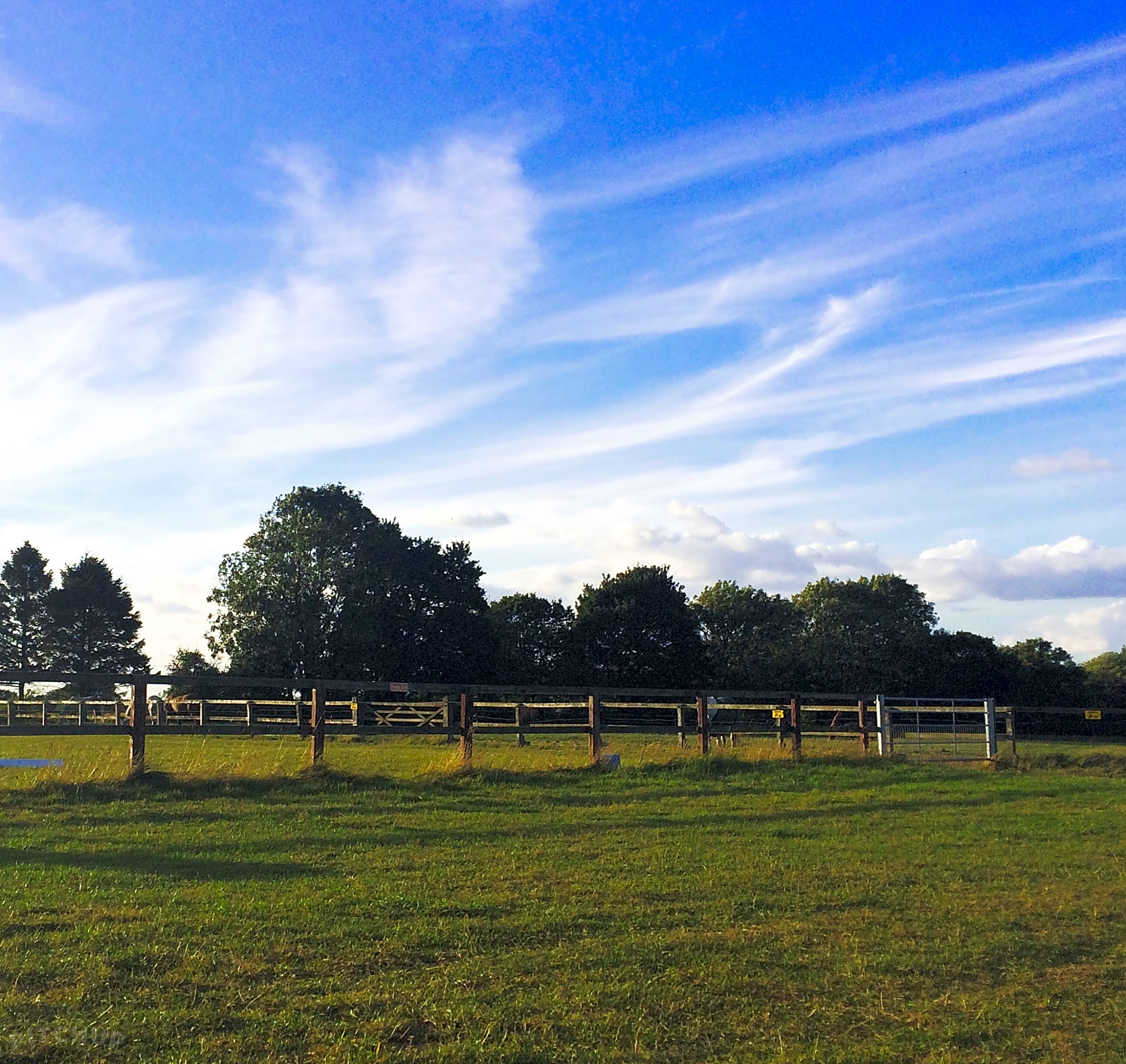 Bardwell Manor Equestrian Centre, Bury St Edmunds Updated 2021 prices