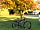 Holly Bush Park: Exploring around the site in autumn