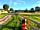 Carron Camping and Caravanning: Open fields used for horse grazing
