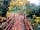 The Secret Garden Touring Park: The Troll Bridge on Fen Park
