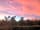 Bowhayes Farm Camping: Surrounded by greenery