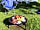 Gunthorpe Camping