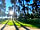 Tackeroo Caravan Site