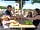 Castle Brake Holiday Park