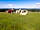 Severn Valley Alpacas