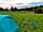 Cricket Field Campsite: Location