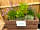 Riverside Caravan and Camping Park: Herb Garden